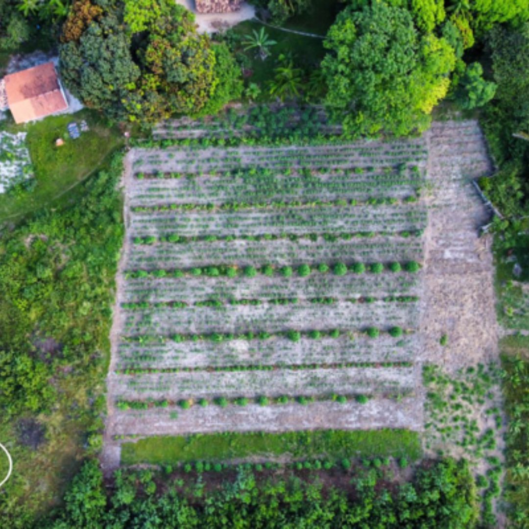 Programa de Descarbonização das Obras